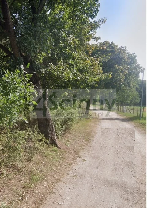 9669/3098/OGS - zdjęcie nr 0
