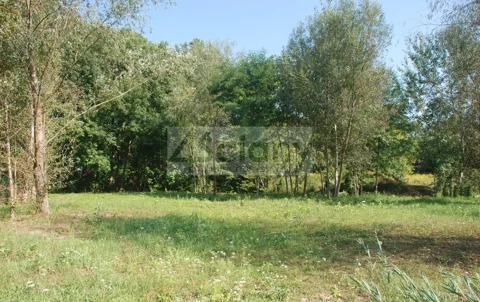 10449/3098/OGS - zdjęcie nr 0