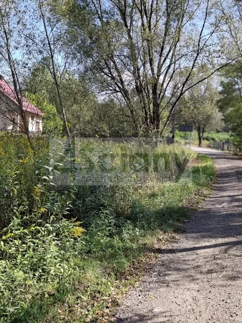 10275/3098/OGS - zdjęcie nr 0