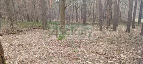 9079/3098/OGS - zdjęcie nr 0