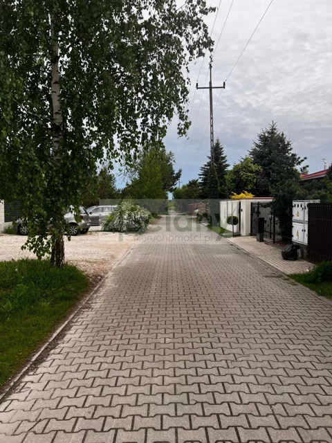8745/3098/OGS - zdjęcie nr 0