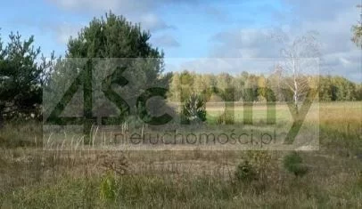 10466/3098/OGS - zdjęcie nr 0