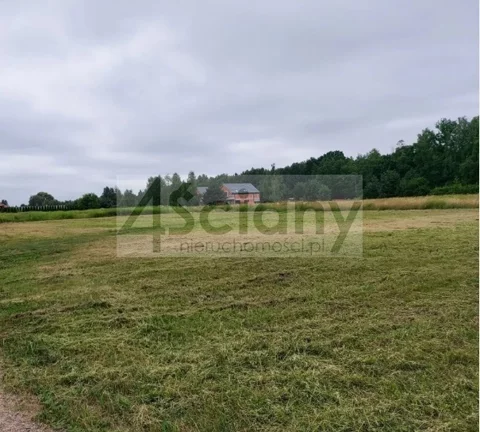 10442/3098/OGS - zdjęcie nr 0