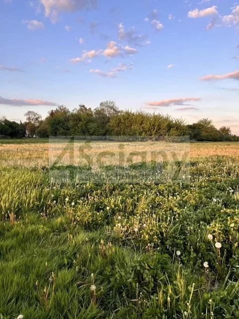 8189/3098/OGS - zdjęcie nr 0