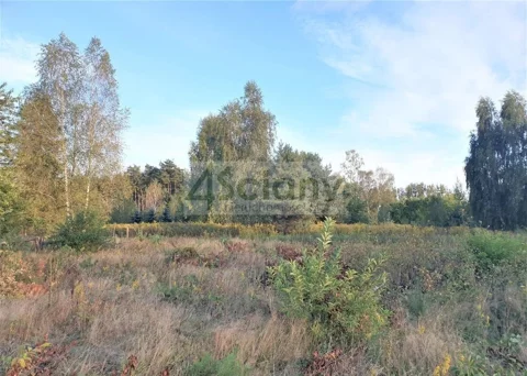 10369/3098/OGS - zdjęcie nr 0