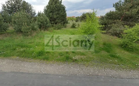 9721/3098/OGS - zdjęcie nr 0
