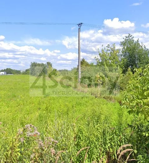 2742/3098/OGS - zdjęcie nr 0