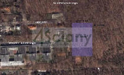 4298/3098/OGS - zdjęcie nr 0