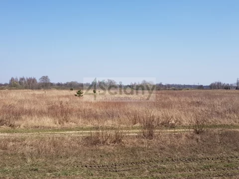 4304/3098/OGS - zdjęcie nr 0