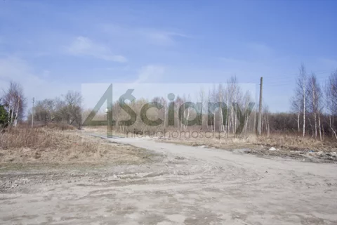 5115/3098/OGS - zdjęcie nr 0