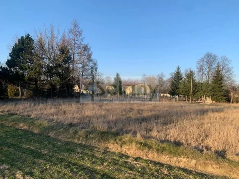 9898/3098/OGS - zdjęcie nr 0