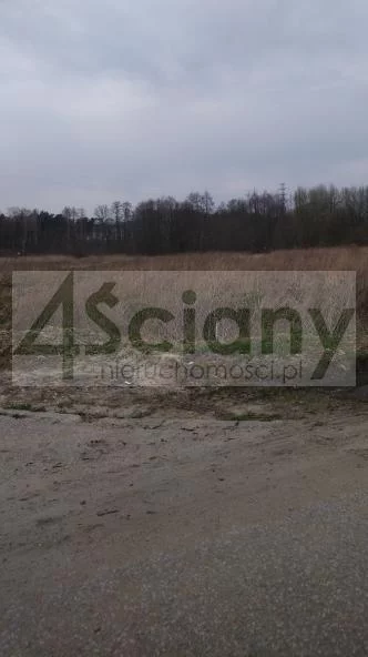 7066/3098/OGS - zdjęcie nr 0