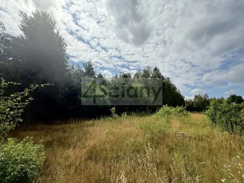 10142/3098/OGS - zdjęcie nr 0
