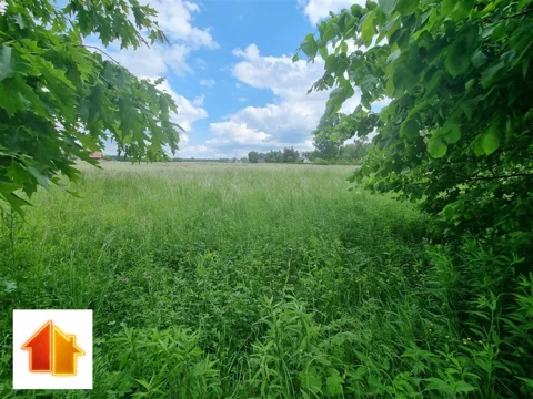 APO-GS-50481 - zdjęcie nr 0