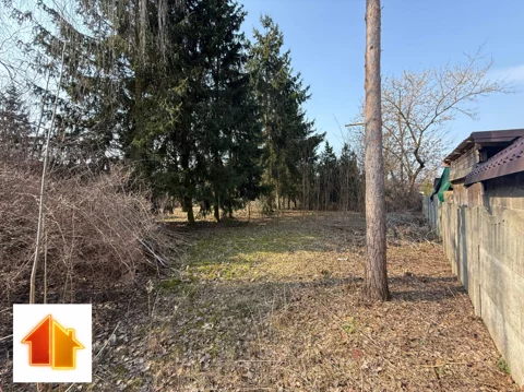 94-GS-FYsfc4UjoL - zdjęcie nr 0
