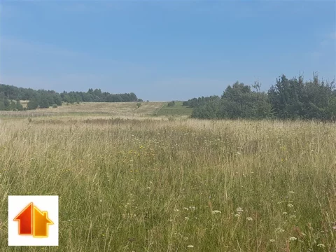 ASM-GS-46872 - zdjęcie nr 0