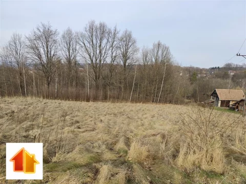 ASR-GS-49617 - zdjęcie nr 0