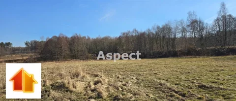 AP1-GS-51489 - zdjęcie nr 0