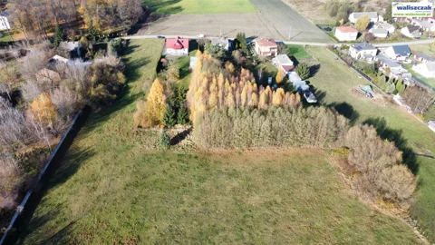 GS-14674 - zdjęcie nr 0
