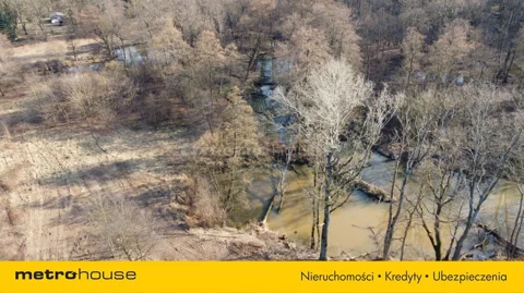 SGCICE499 - zdjęcie nr 0