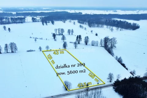 SGSICI287 - zdjęcie nr 0