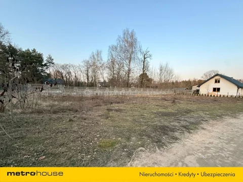 SGCOLY254 - zdjęcie nr 0