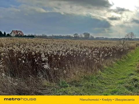 GEBU140 - zdjęcie nr 0