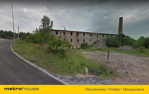 HOSY574 - zdjęcie nr 0