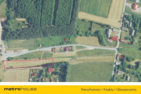 BITU730 - zdjęcie nr 0