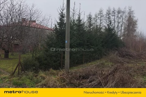 KUNA120 - zdjęcie nr 0