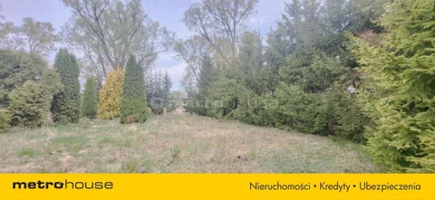 SGNUNE579 - zdjęcie nr 0