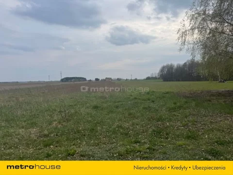SGRUNO506 - zdjęcie nr 0