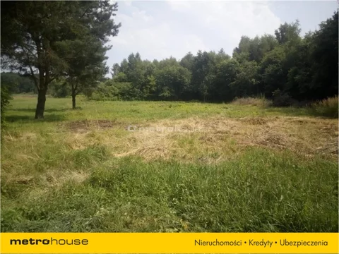 PEWO116 - zdjęcie nr 0