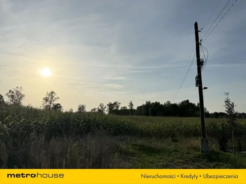 SGCEPY780 - zdjęcie nr 0