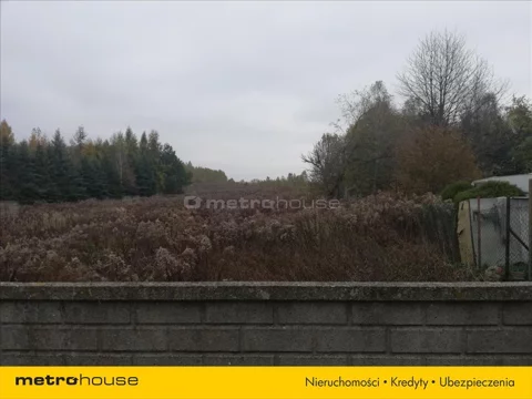 NIBA125 - zdjęcie nr 0