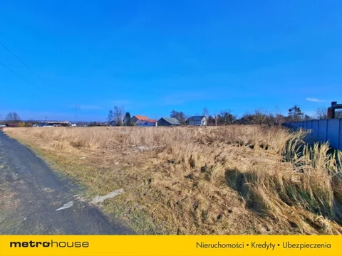 SGDOLI289 - zdjęcie nr 0