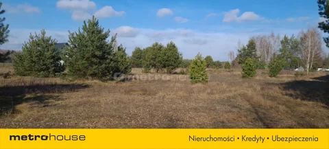 SGGIGY495 - zdjęcie nr 0