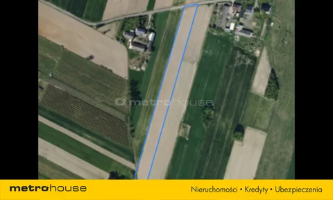SGSUGY115 - zdjęcie nr 0
