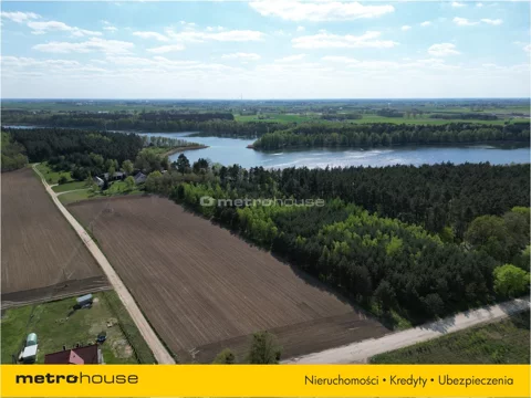 NOGI828 - zdjęcie nr 0