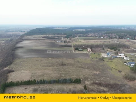 SGRALI101 - zdjęcie nr 0