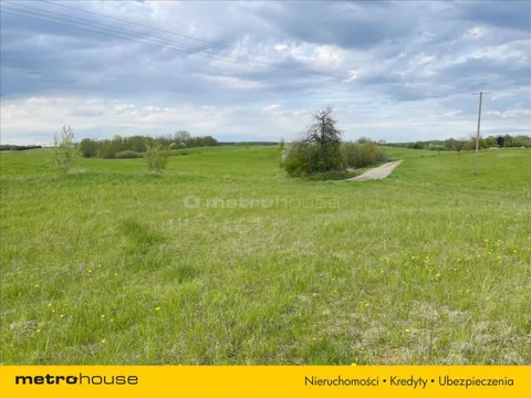 TECE316 - zdjęcie nr 0