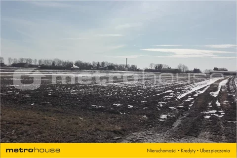 LAMI863 - zdjęcie nr 0
