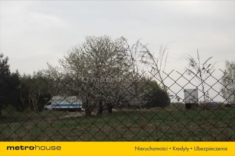 RENE735 - zdjęcie nr 0
