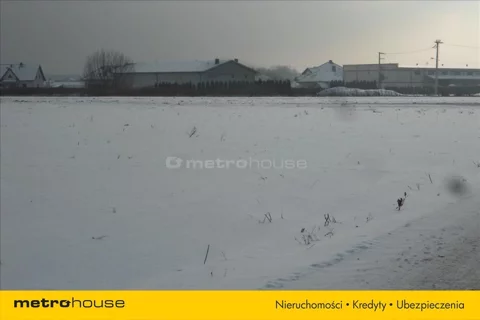 GYKI933 - zdjęcie nr 0