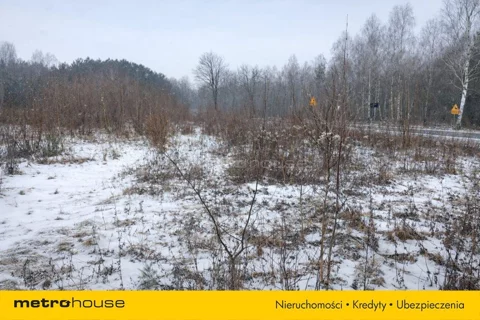 SGKINO133 - zdjęcie nr 0