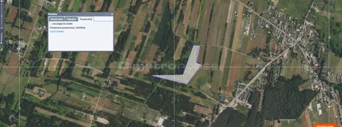 SGLIRA188 - zdjęcie nr 0
