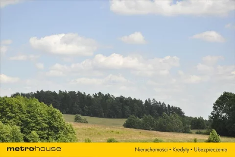 TEWI265 - zdjęcie nr 0