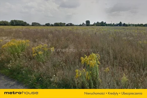 SESO556 - zdjęcie nr 0