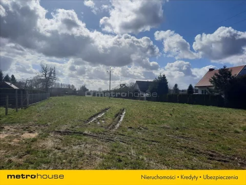 ZILE806 - zdjęcie nr 0