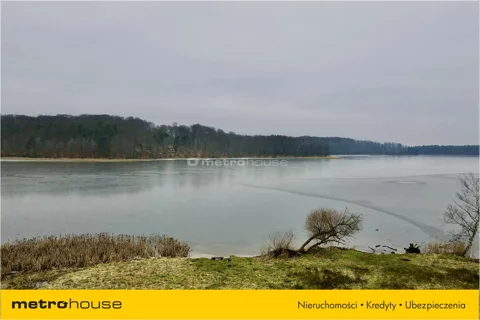 RANA925 - zdjęcie nr 0